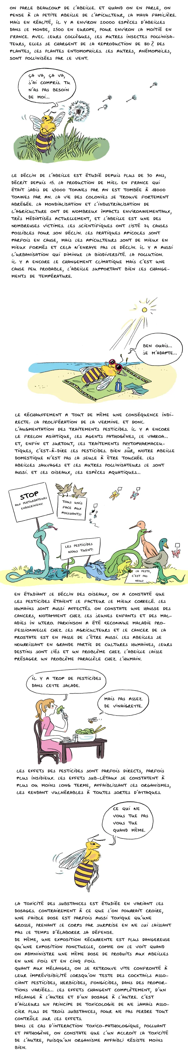 Abeilles et pesticides - 1