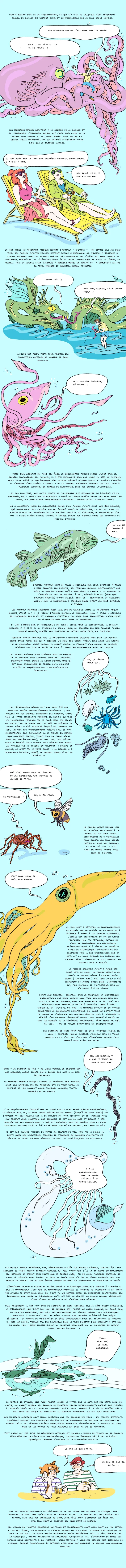 Les monstres marins, entre mythe & réalité zoologique