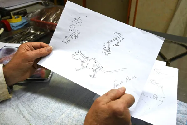 Calculs et mesures des membres pour la réalisation du Panda roux 