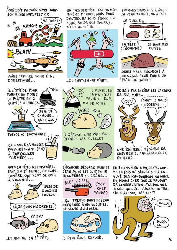 Le chantier du musée en BD : épisode 6 " Le métier de taxidermiste "