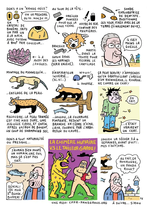 Le chantier du musée en BD : épisode 6 " Le métier de taxidermiste "