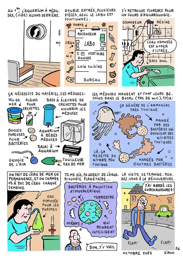 Le chantier du musée en BD : épisode 8 " Le montage "