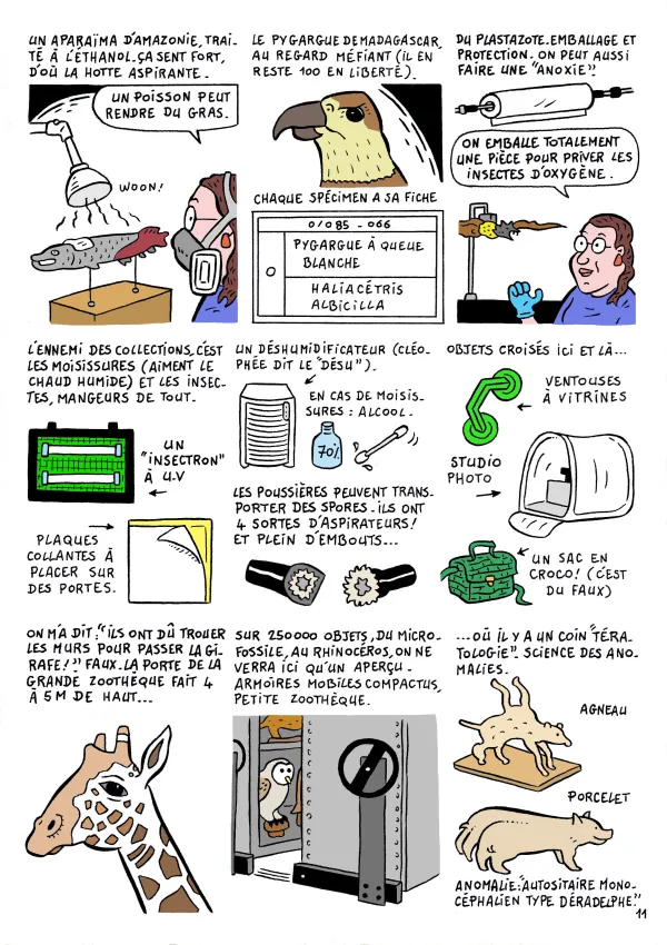 Le chantier du musée en BD : épisode 5 " Le chantier invisible "