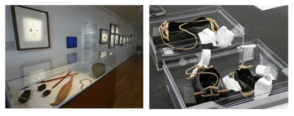 Sacs en algues, exposition Australie - Le Havre