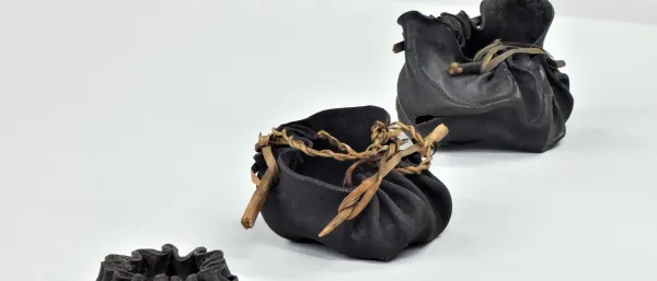 Sacs en algues de Tasmanie