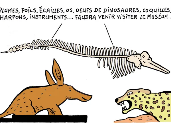 Le chantier du musée en BD : épisode 5 " Le chantier invisible "