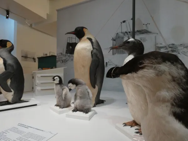 Exposition " L'aventure Charcot, du Havre à l'Antarctique "