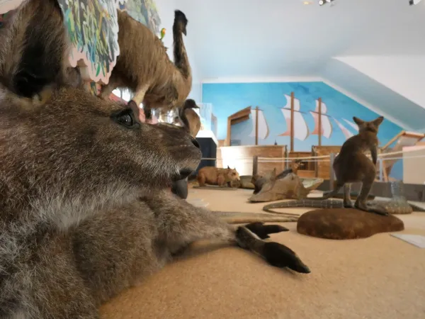 Exposition " Australie - Le Havre "