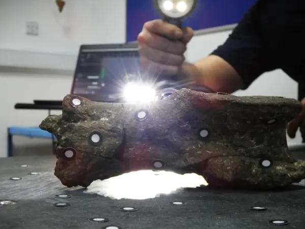 Restauration Loricatosaurus - étape du scan