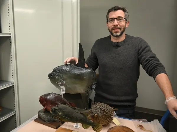 Samuel Iglésias, Ichtyologue