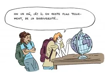 Une anthropologue au pays des abeilles